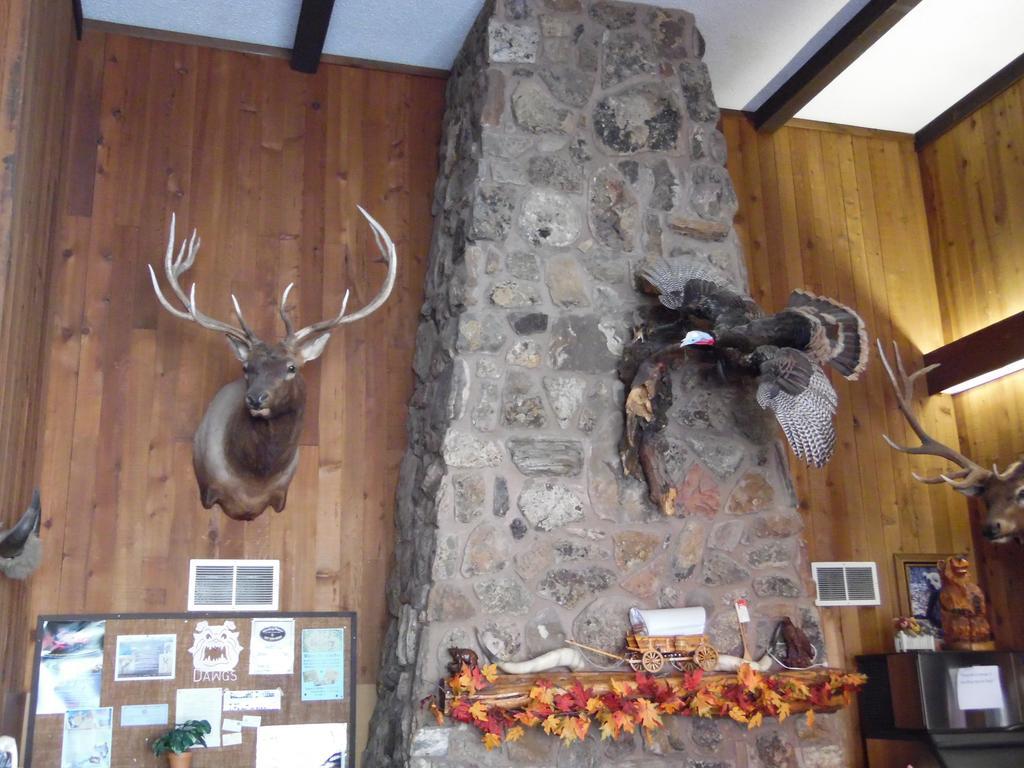 Bear Lodge Motel Сандэнс Экстерьер фото