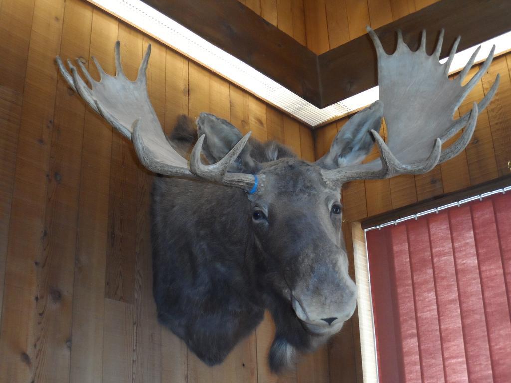 Bear Lodge Motel Сандэнс Экстерьер фото
