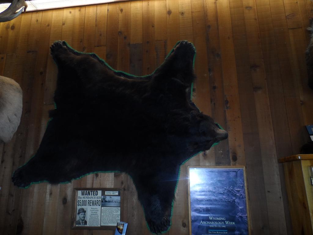 Bear Lodge Motel Сандэнс Экстерьер фото